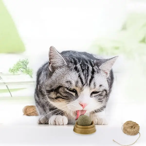 Catnip Ball Toy That Cleans Teeth While Making Your Cat Happy – Rotating Mint-Flavored Natural Dental Treat - Image 6