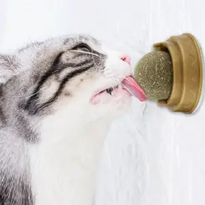 Catnip Ball Toy That Cleans Teeth While Making Your Cat Happy – Rotating Mint-Flavored Natural Dental Treat
