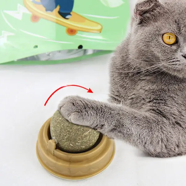 Catnip Ball Toy That Cleans Teeth While Making Your Cat Happy – Rotating Mint-Flavored Natural Dental Treat - Image 2